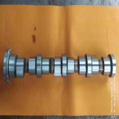 6D107 CAMSHAFT