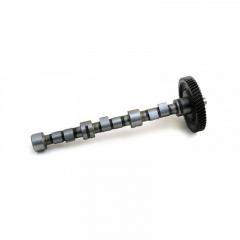 BFM1013 CAMSHAFT